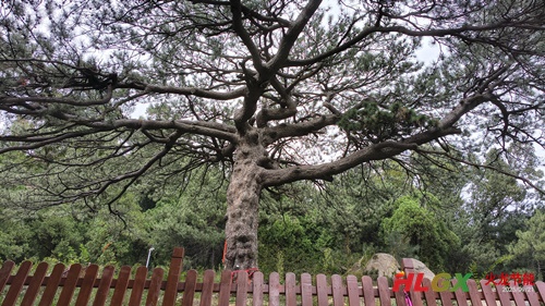 遇見云上 遇見云上